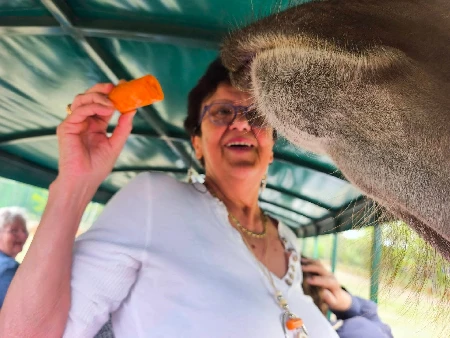 Erzsébet T. senior asszisztens